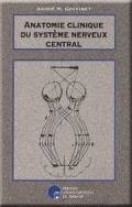 Anatomie clinique du système nerveux central